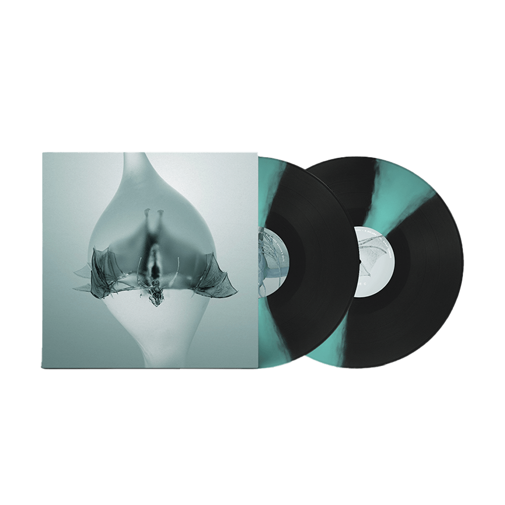 Angel Ltd Edition Boxset