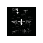 Angel Ltd Edition Boxset