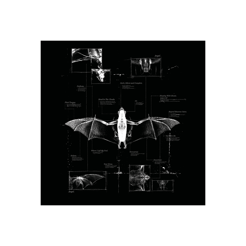 Angel Ltd Edition Boxset