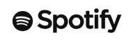 Spotify music icon